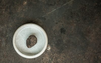 Ein Tag für Trüffel und Tenöre