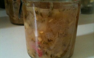 Frühlingserwachen mit Rhabarber-Ingwer Chutney