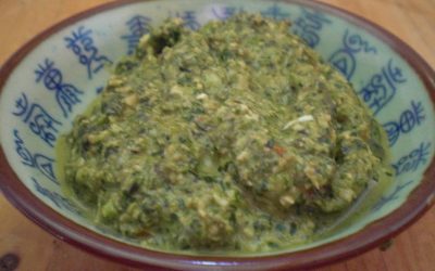 Kürbiskern-Koriander Pesto
