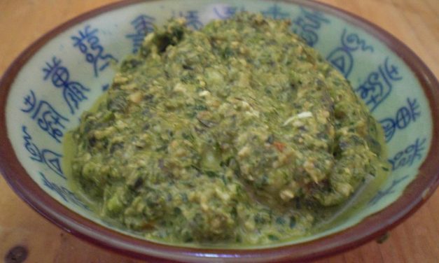 Kürbiskern-Koriander Pesto