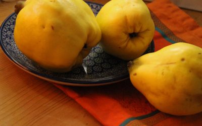 Bezaubernde Quitte, Soulfood für Oktoberfestmüde