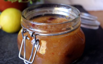 Mitbringsel für nette Menschen: Apfelchutney mit Cranberries und Chillie