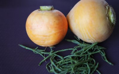 Aus dem Meer und aus der Erde – Salat von Teltower Rübchen mit Algen und Limetten-Honig Dressing