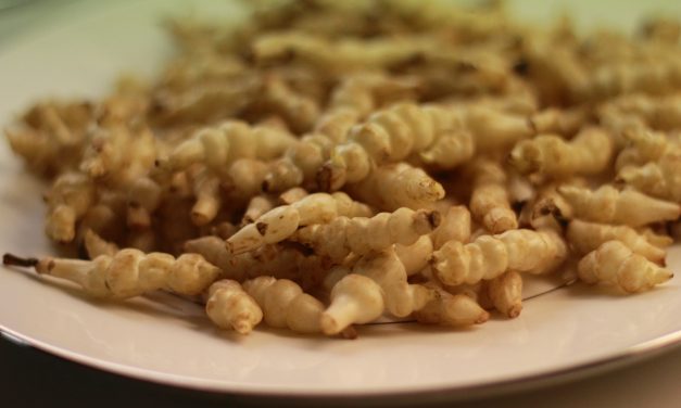 Zurück zu den Wurzeln – Crosnes (Knollenziest) mit milden Zitronennudeln