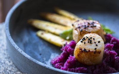 Rotkohl-Rosenpüree mit Jakobsmuscheln und Babymais