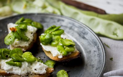 Crostini mit frischen dicken Bohnen und Ricotta