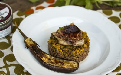 Wachtelbrust mit Schokoladensauce auf umbrischen Kaffee-Berglinsen mit Minz-Karotte