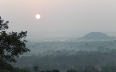 Die Welt ist nicht genug  oder wann haben wir alles erlebt, gegessen und getrunken?