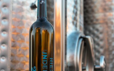 Underdog – ein Riesling, ein Weingut und die Erfolgsgeschichte von Sven Nieger