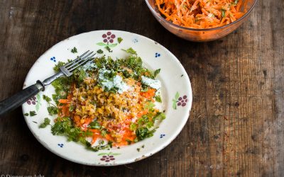 Karotten-Kerbel Salat mit Kokos Linsen und Koriander Joghurt