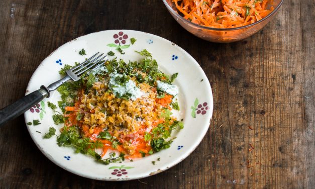 Karotten-Kerbel Salat mit Kokos Linsen und Koriander Joghurt