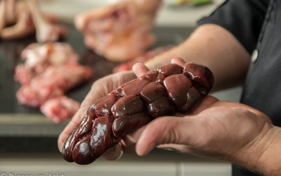 Ich habe meine Hausaufgaben gemacht!  oder wie ich dank Lucki Maurer endgültig zur Nose-to-Tail Liebhaberin wurde