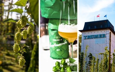 Noch einmal in den Sommer, noch einmal in die Trumer Brauerei und ein Bier unter Kastanienbäumen trinken