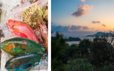 Auf nach Okinawa! türkisfarbener Pazifik, Fischmärkte und wo Hirsche nachts an weißen Sandstränden spazieren gehen