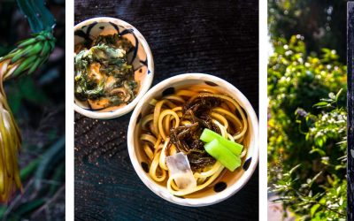 Auf nach Okinawa! Awamori, das königliche Getränk, das Dorf der Hundertjährigen und eine Slow Farm mit schwarzen Schweinen