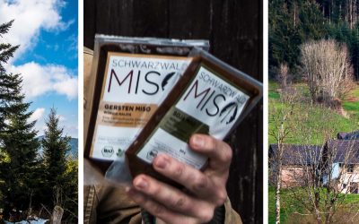 Wie ein japanischer Zen Meister das Miso in den Schwarzwald brachte und warum es dort eine neue Heimat gefunden hat