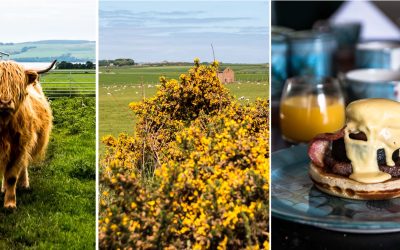 Schottlands blühende Highlands –glückliche Tage mit Whisky, Haggis, alten Steinen und Hochlandrindern