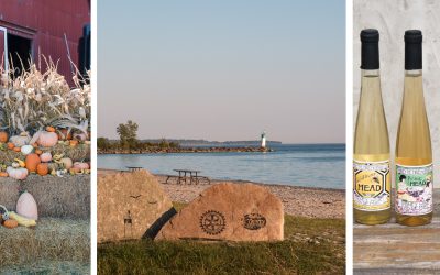 [Ontario im Spätsommer #2]  – glückliche Tage mit Cider, Äpfeln, Wein, Bienen und Met
