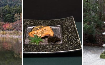 [Komagane] die erste Nacht in einem Ryokan, ein verzauberter Tempel im Wald und Miso ohne Ende