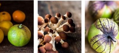 2016, du geliebtes Mistjahr!