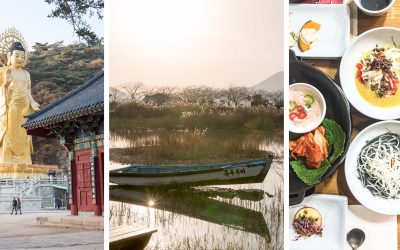 [Südkorea] Hansik Küche in Süd Jeolla, Ansturm im Schilf der Suncheon Bay und Jubel – es gibt Jujube Tee!