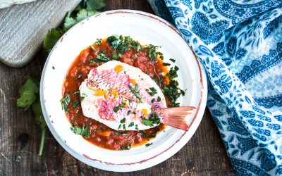 Meerbarbe aus dem Orient mit Orangen-Zimt Sauce