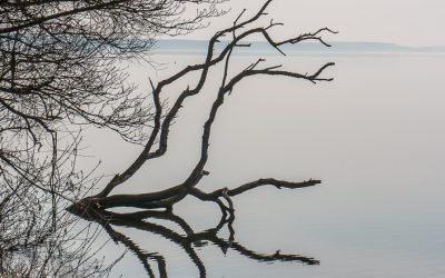 Was man an der Müritz halt so macht – zur Ruhe kommen, aufatmen und dann frischen Stremellachs aus dem Buchenrauch essen