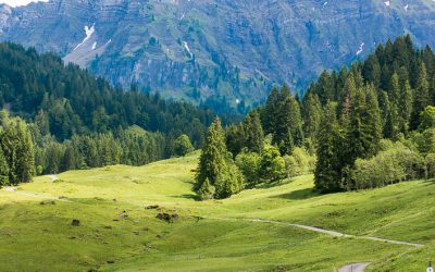 13 Gründe warum es im Bregenzerwald so schön ist und Du unbedingt jetzt hinfahren solltest