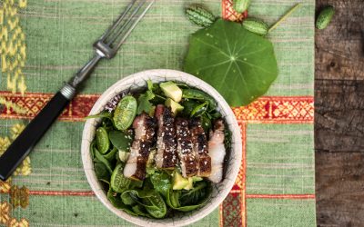 Südamerikanische Nikkei Küche: Soja-Mirin marinierter Schweinebauch auf Wildkräutersalat mit Avocado und Wasabi Vinaigrette
