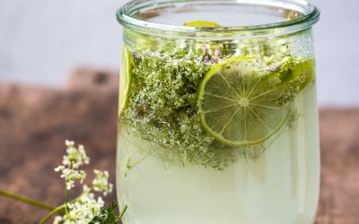 Saftige Almwiesen, Sonne und Mädesüß Sirup, der dann doch nicht aus Mädesüß war… (mit Update)