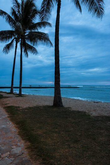 Oahu-23 - Dinner um Acht