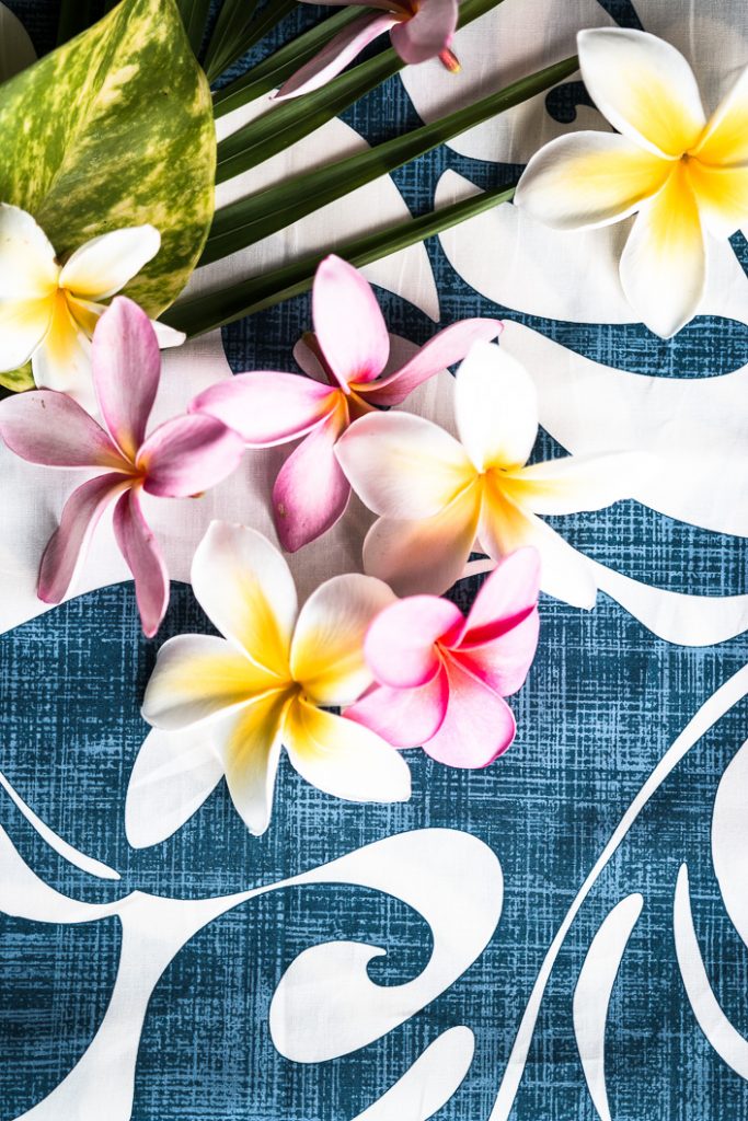 Plumeria (1 von 1) - Dinner um Acht