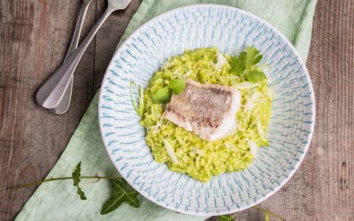 Arroz Verde aus Portugal mit gebratenem Rotbarsch – Ferienstimmung kommt auf!