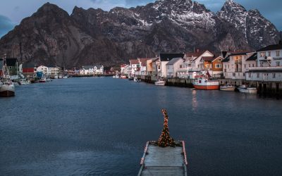 Eine Winterreise in die blaue Polarnacht im Norden Norwegens und warum man genau jetzt hinfahren sollte