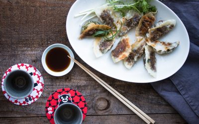 Gyoza mit Wirsing und Shiitake