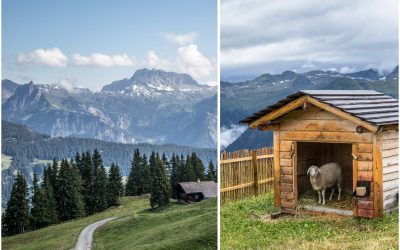 Sehnsuchtsort Montafon – kulinarische Traditionen und „Berg-Feeling“ pur