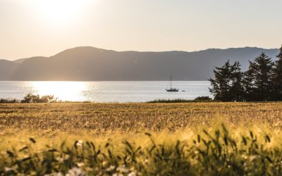 Es scheint die Sonne noch so schön…