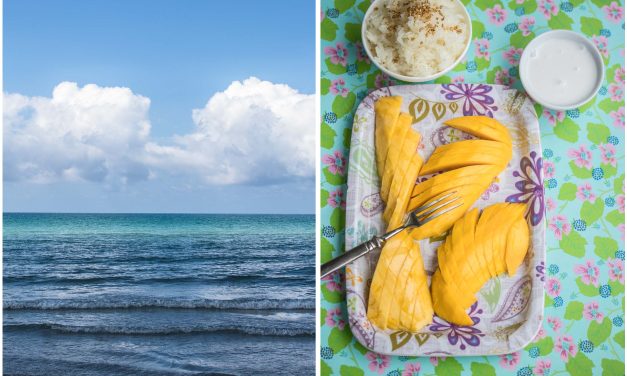 Thailands Lieblingsgericht und gut gegen Fernweh – „Sticky Rice Mango“