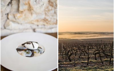 Trüffel vom Amuse bis zum Dessert – ein Trüffelkochkurs auf Château Haute-Serre