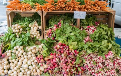 Reisen zu den Märkten der Welt