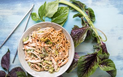 Erdnuss-Hühnchen-Salat mit Udon Nudeln und eine ziemlich seltsame Geschichte über Wespen
