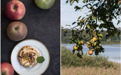 Schnelle Apfeltörtchen mit Ziegenkäse und Honig und warum Streuobstwiesen so wichtig sind