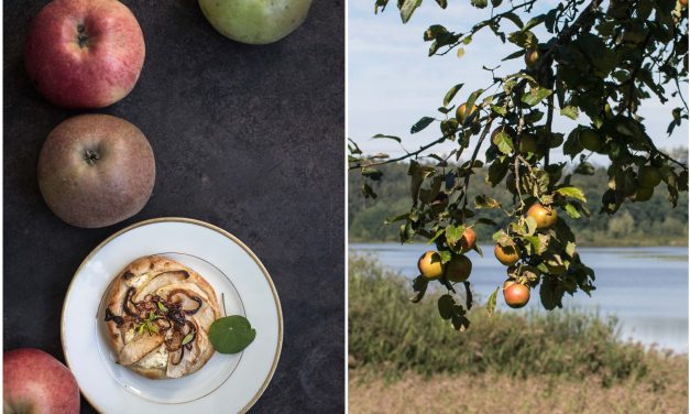 Schnelle Apfeltörtchen mit Ziegenkäse und Honig und warum Streuobstwiesen so wichtig sind