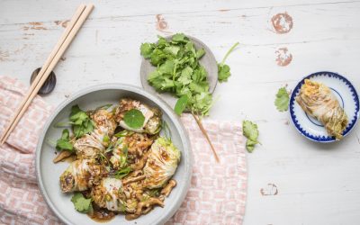 Asiatische Sommerkohlrouladen