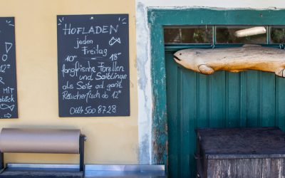 Kärnten, das Lavanttal und warum es hier kulinarisch so viel zu entdecken gibt