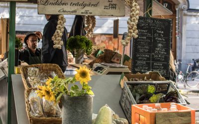 Die besten Tipps für ein kulinarisches Herbstwochenende in Stockholm