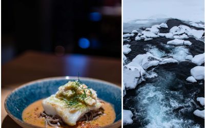 Eis, Schnee, Brot und Fisch – Momentaufnahmen und kulinarische Tipps aus Island