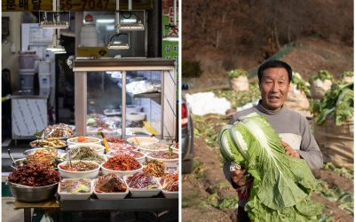 Cheongju zur „Kimchi-Zeit“, Reisschnaps, edles Hanwoo Rind und ein Paradies für Teigtaschenliebhaber