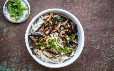 Cremige Udon Nudeln in veganer Cashew Sauce mit Pilzen