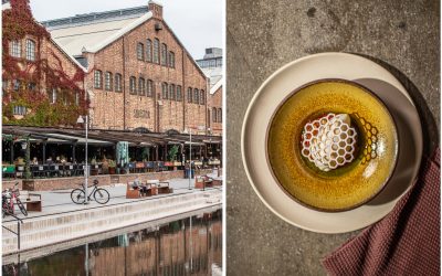 Norwegen,Trondheim – warum man diesen kulinarischen Hotspot erlebt haben muss und garantiert wiederkommt